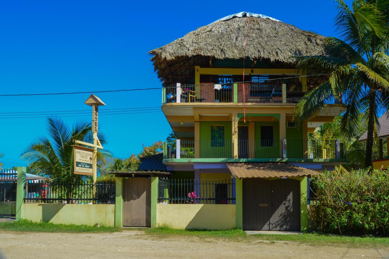 A Piece Of Ground Hostel Punta Gorda Exterior photo